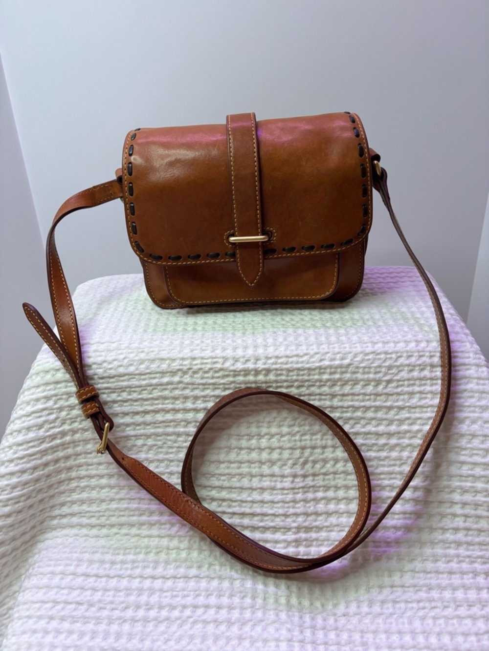 Dooney & Bourke Florentine Binocular Leather Crossbody in Brown